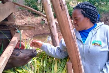 Small-scale woman trader keeps cross-border business afloat amid COVID-19